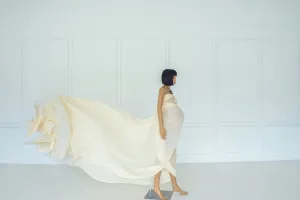 Bria Chiffon Fabric