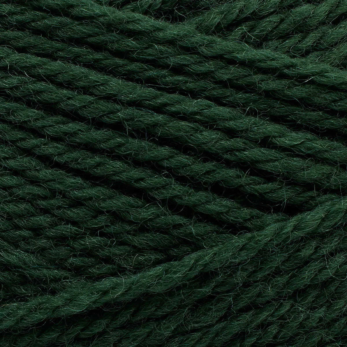 Pernilla thuja [346]