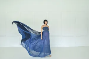 Sophia Silk Chiffon